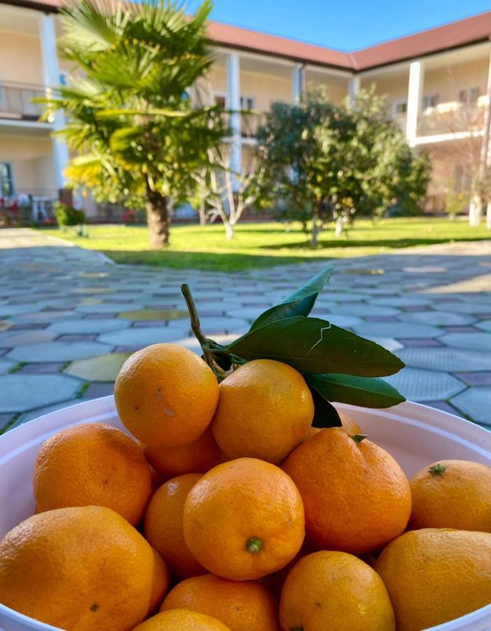 Lidzava Hotel Solntse Abkhazii מראה חיצוני תמונה
