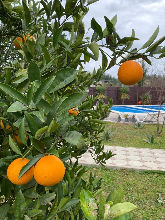 Lidzava Hotel Solntse Abkhazii מראה חיצוני תמונה