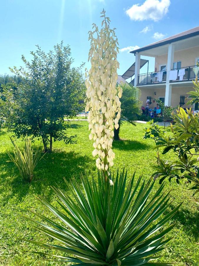 Lidzava Hotel Solntse Abkhazii מראה חיצוני תמונה