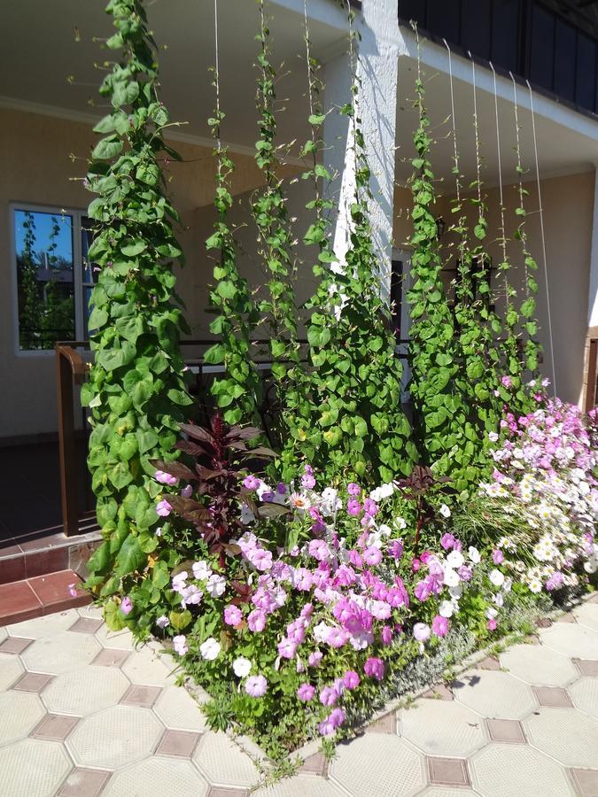 Lidzava Hotel Solntse Abkhazii מראה חיצוני תמונה